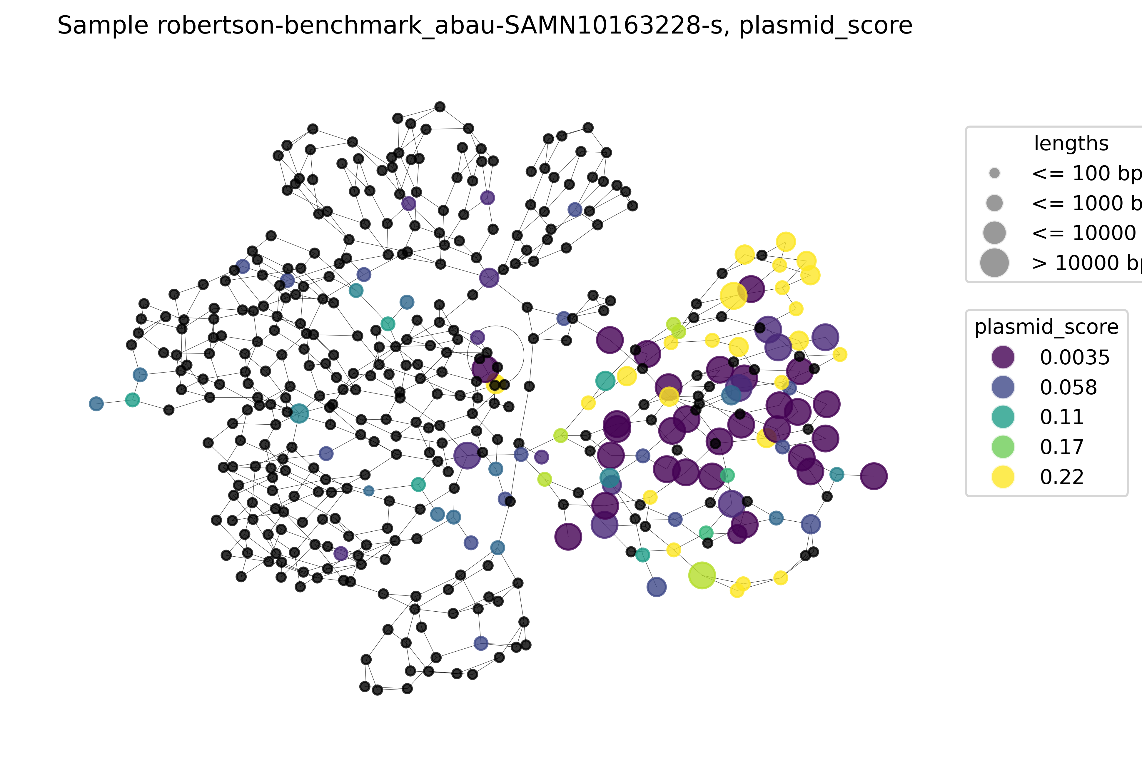 Plasmid score